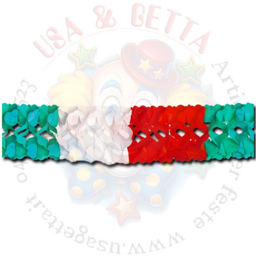 Immagine di Festone tricolore 17,5cmx 5mtr 1pz